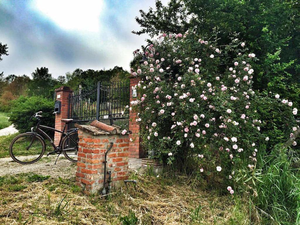 Fienile Da Primo Villa San Giovanni Valdarno Luaran gambar